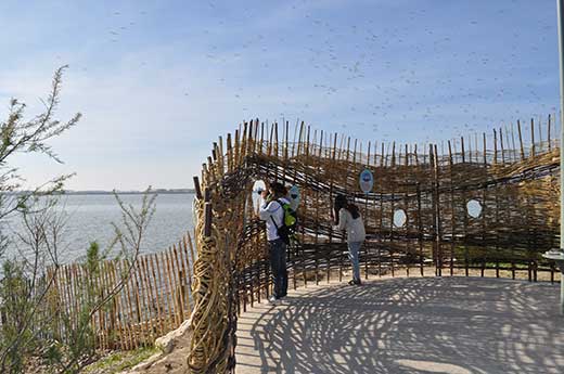 Int&eacute;gration paysag&egrave;re du mobilier d'interpr&eacute;tation.